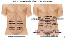 Mide Üstünde Ağrı Belirtileri ve Tedavisi Mide Üstünde Ağrı Belirtileri ve Tedavisi